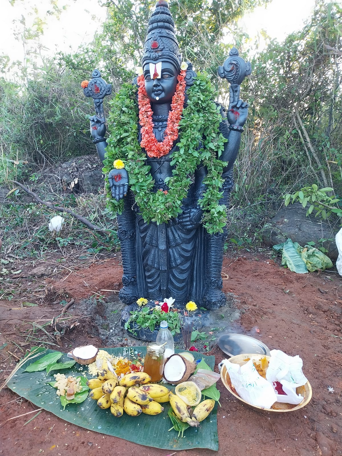 WhatsApp Image 2025-10-09 at 16.54.50