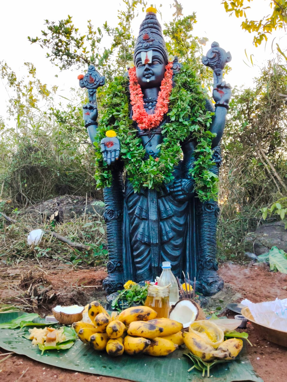 WhatsApp Image 2025-10-09 at 16.54.53 (2)