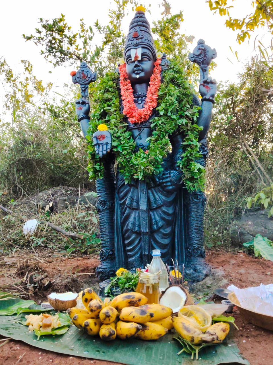 WhatsApp Image 2025-10-09 at 16.54.53